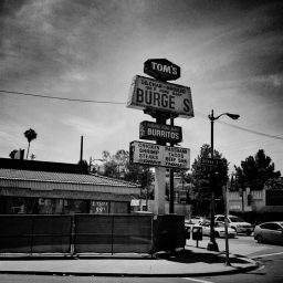 One Evening at Silver Lake