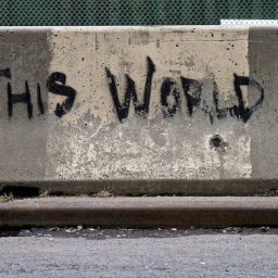 The insignificant man